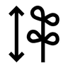 Fullvuxen  150 cm
