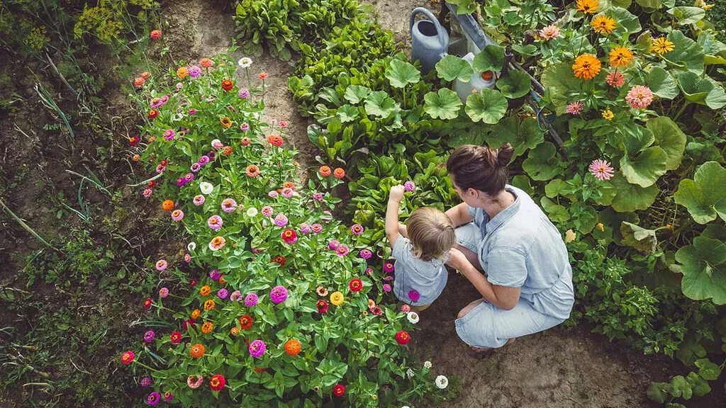 To grow in the time of climate change