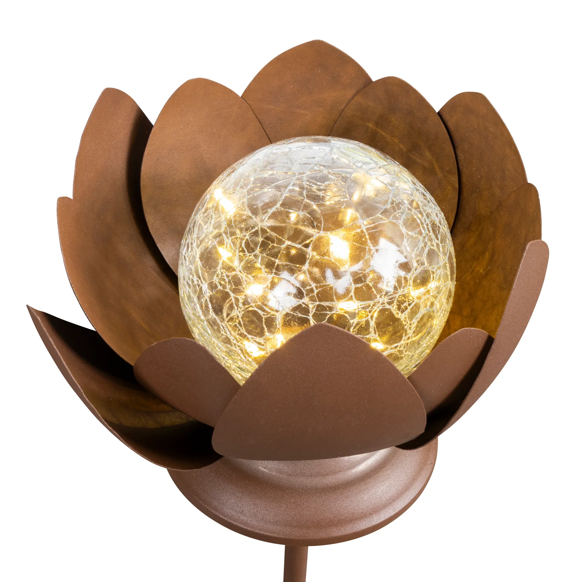 Lotusblomma Solar