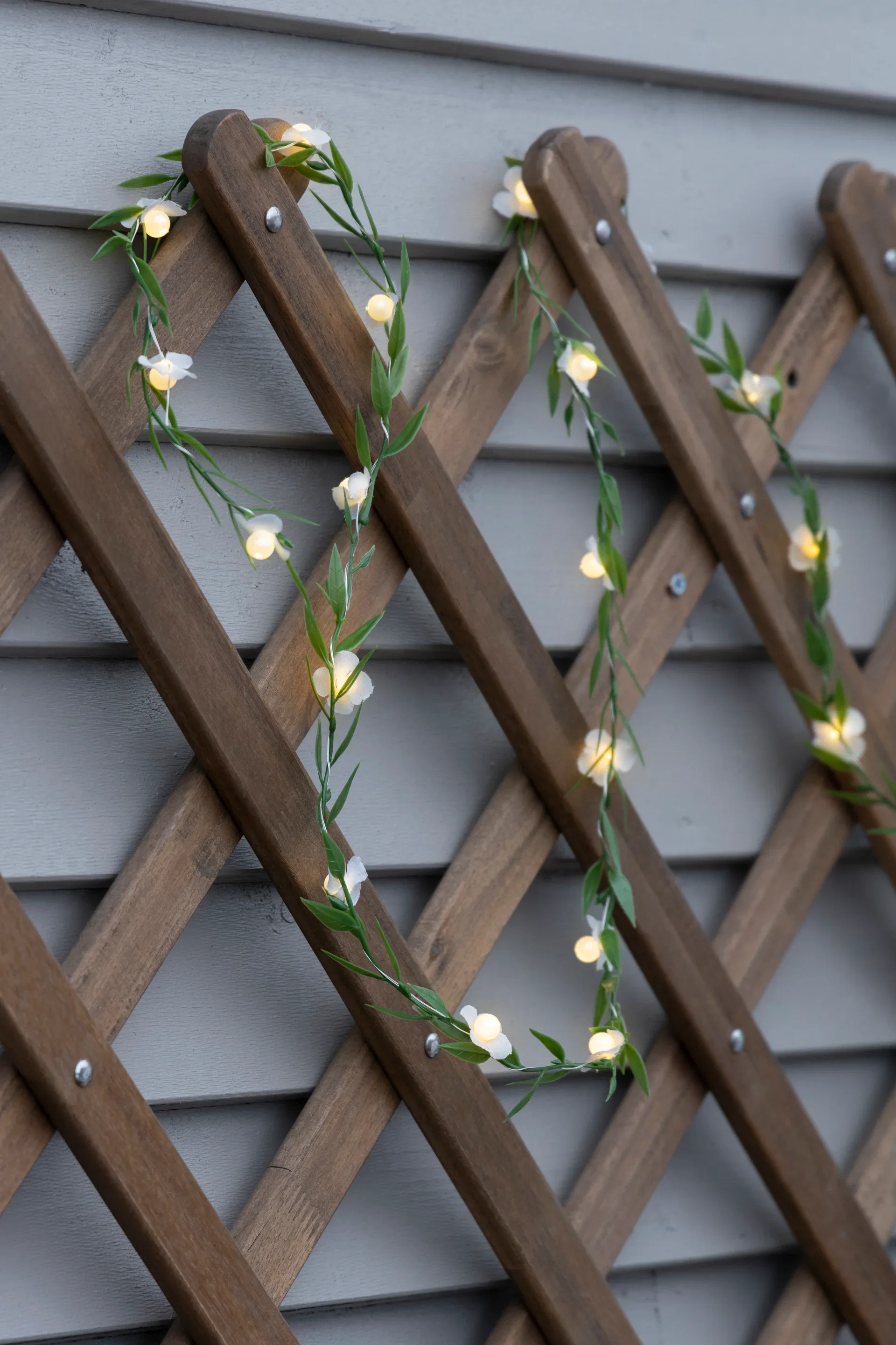Ljus Med Blommor