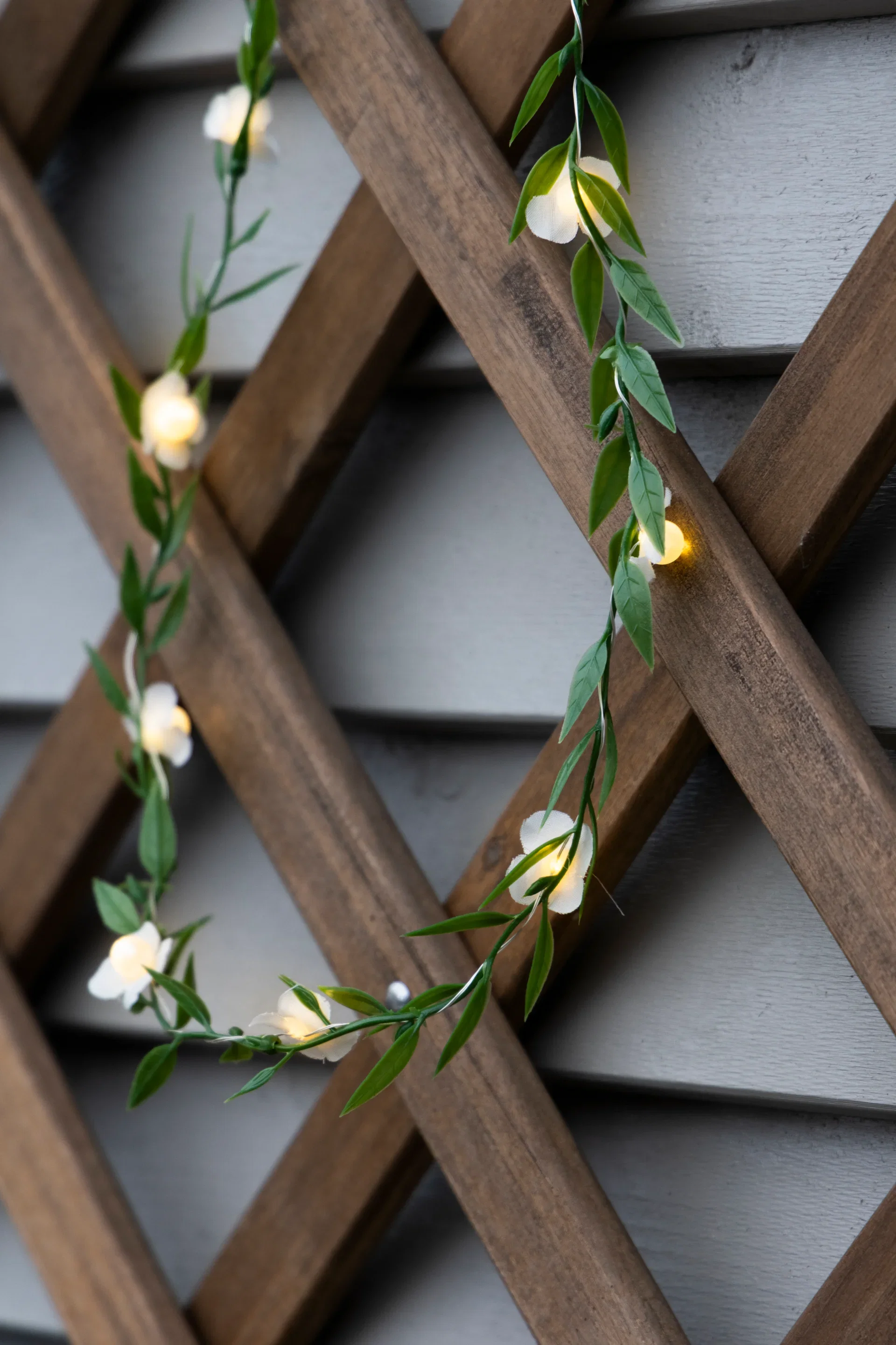 Ljus Med Blommor