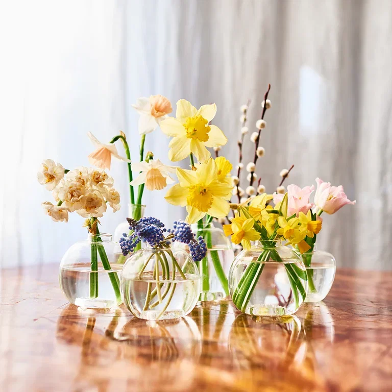 Easter flowers – make Easter beautiful with colorful flowers