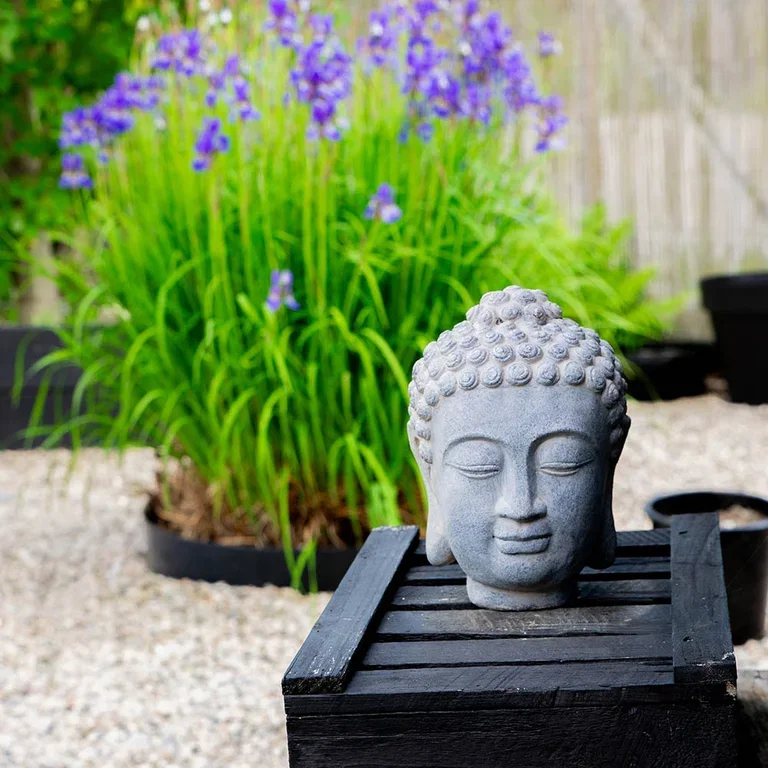 Garden visit: Japandi garden at Sylvia's