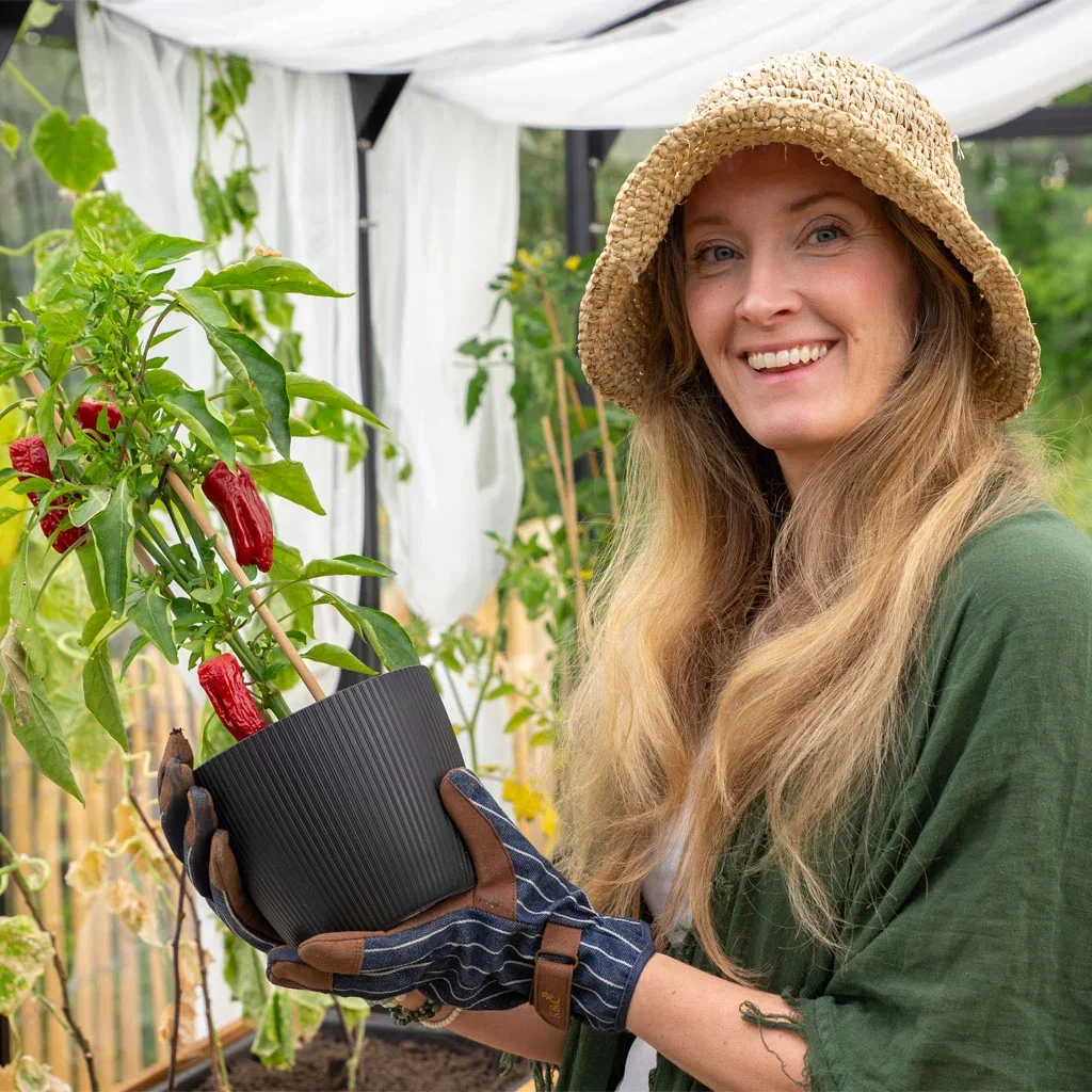Garden visit: Tanja's down-to-earth and edible garden