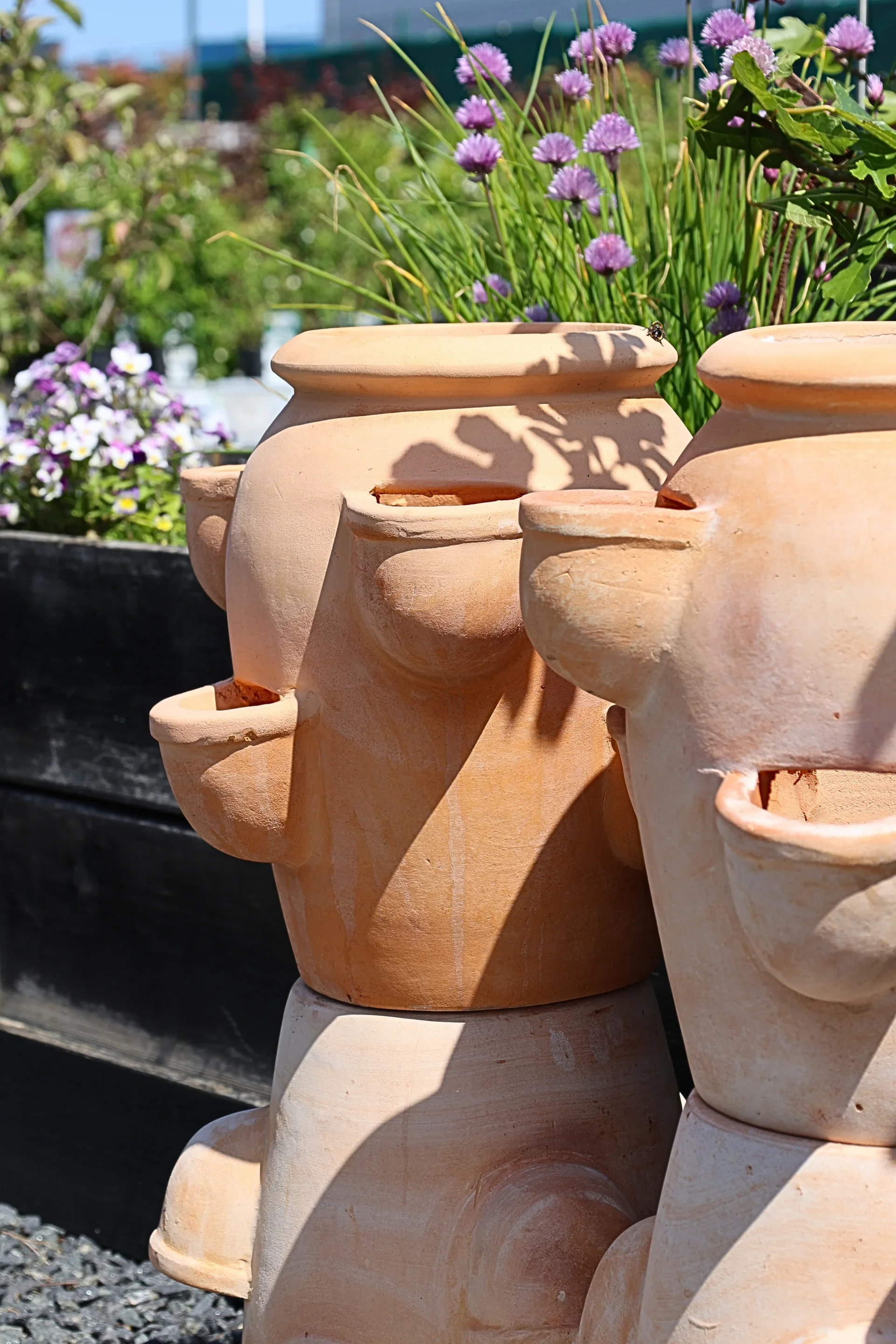 Gilbert strawberry pot D36 terracotta