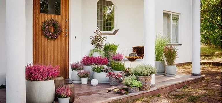 Make it autumnal on the balcony, terrace and at the entrance.