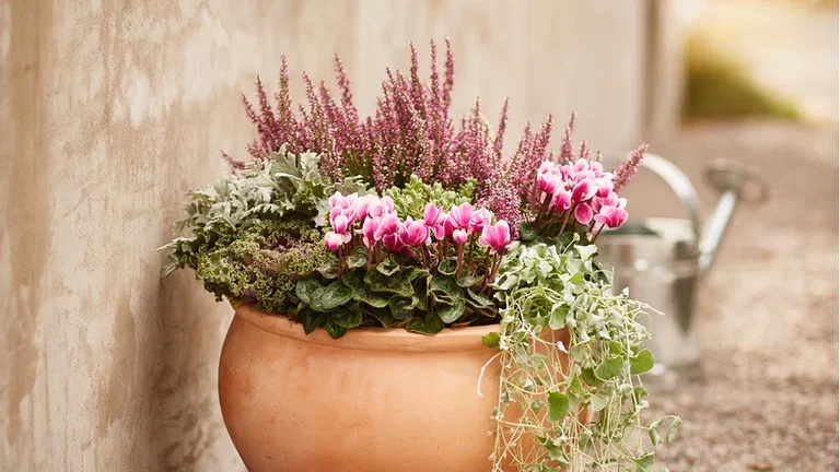 Make it autumnal on the balcony, terrace and at the entrance.