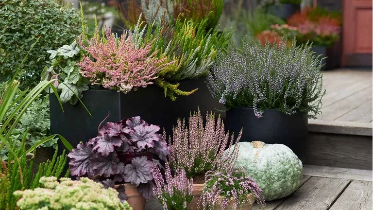 Make it autumnal on the balcony, terrace and at the entrance.