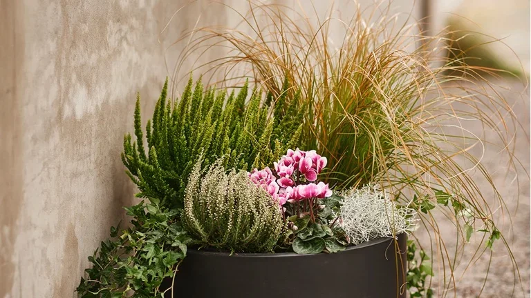 Make it autumnal on the balcony, terrace and at the entrance.