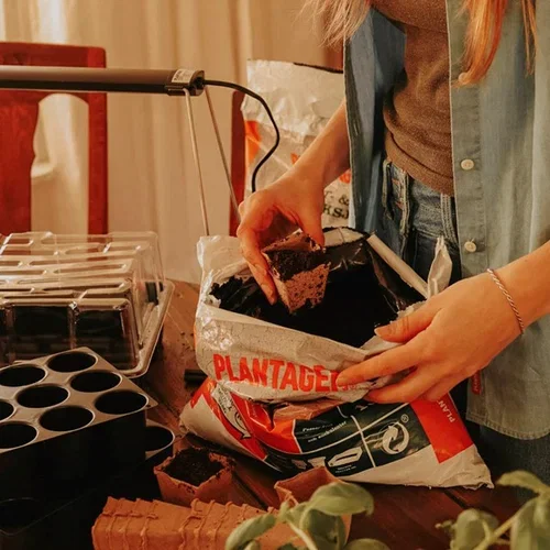 5 tips for successful pre-cultivation