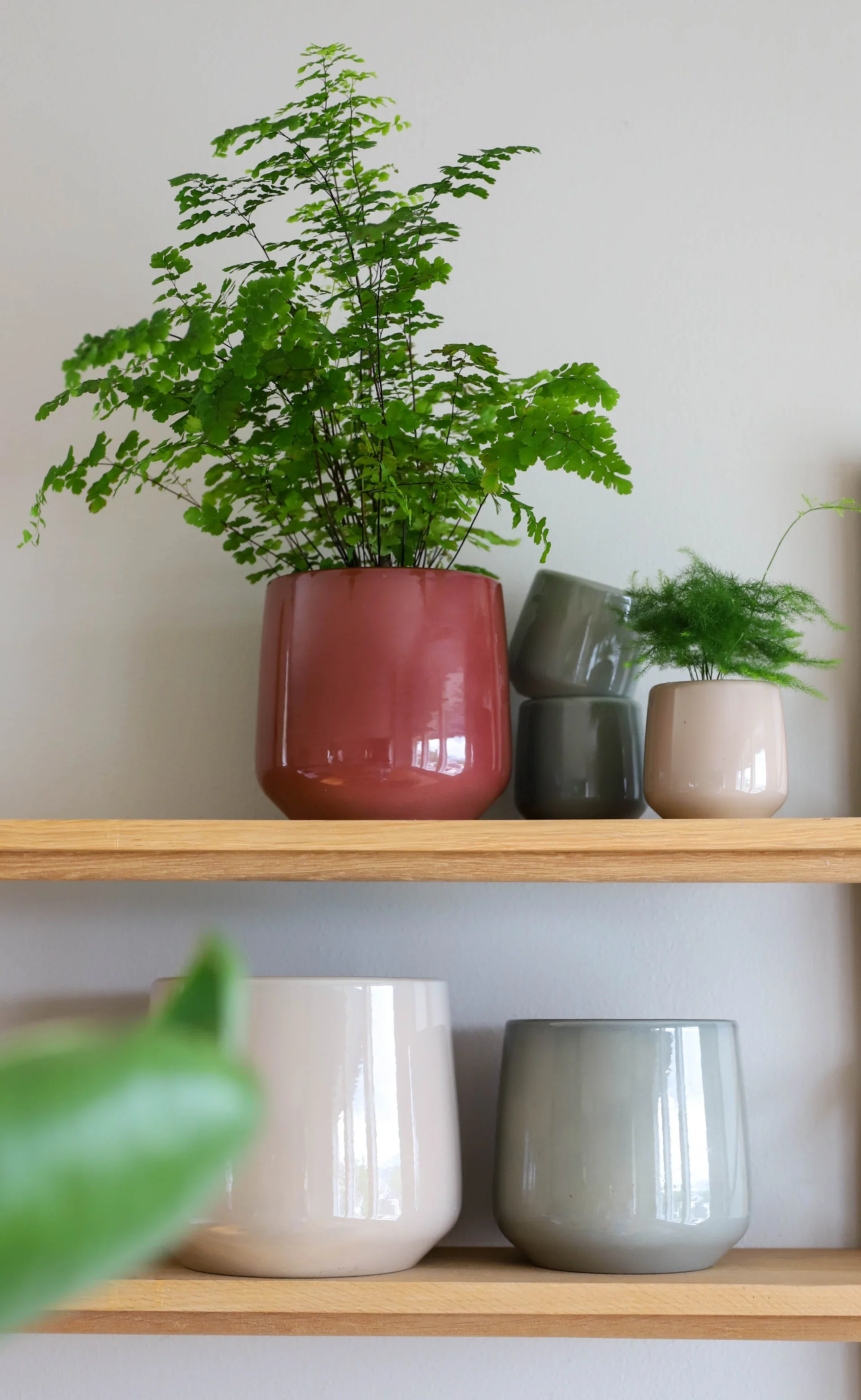 Ida pot D14 rust