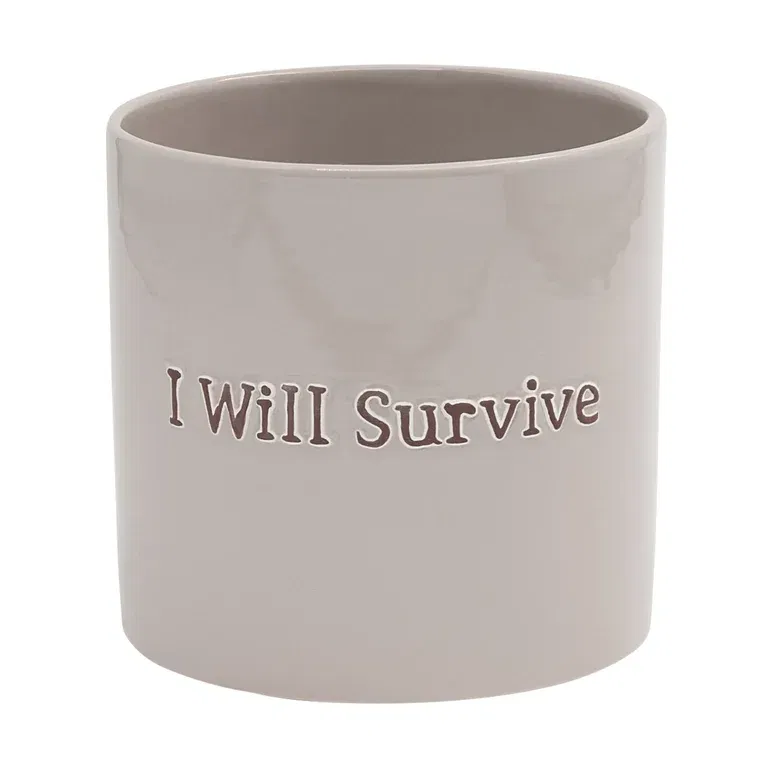 Kruka I Will Survive