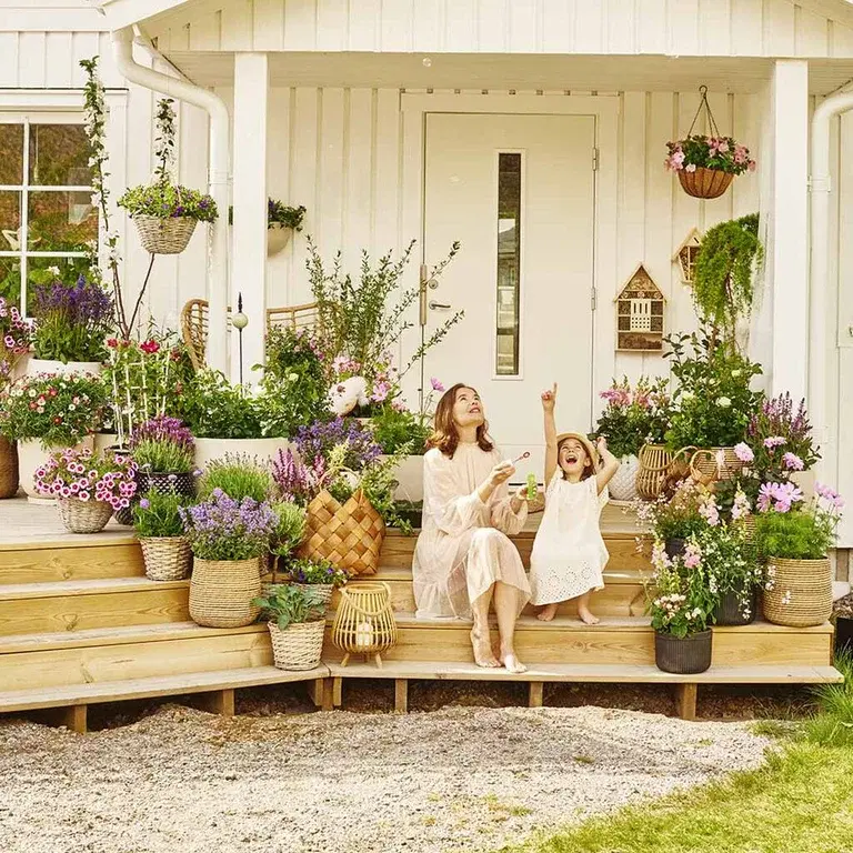 Sommarblommor i kruka – dekorera entrén inför sommaren