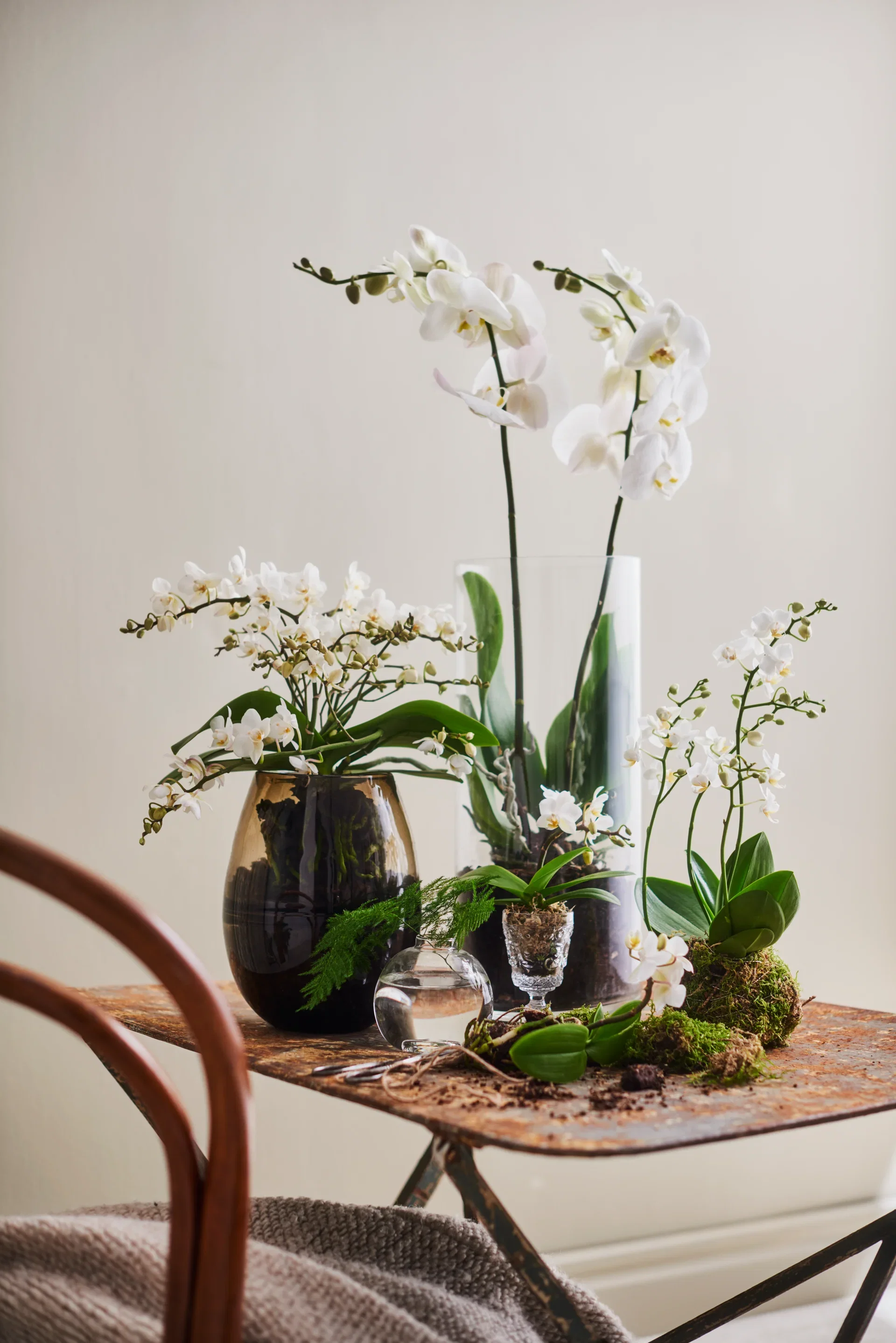 Brudorkidé Boquetto Beauty