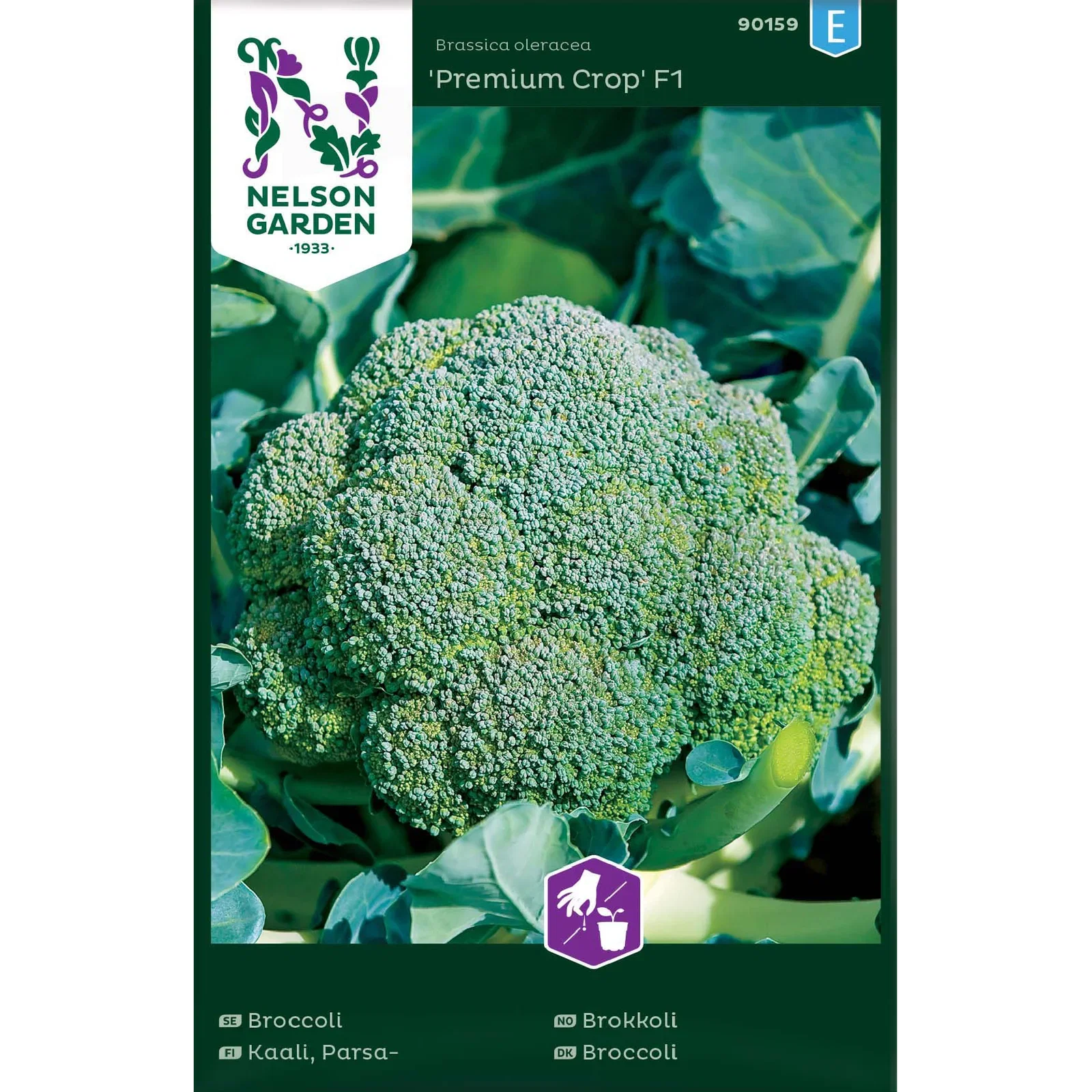Broccoli 'Premium Crop' F1