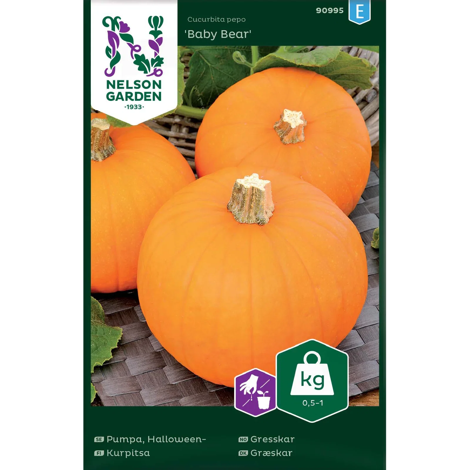 Halloweenpumpa 'Baby Bear'