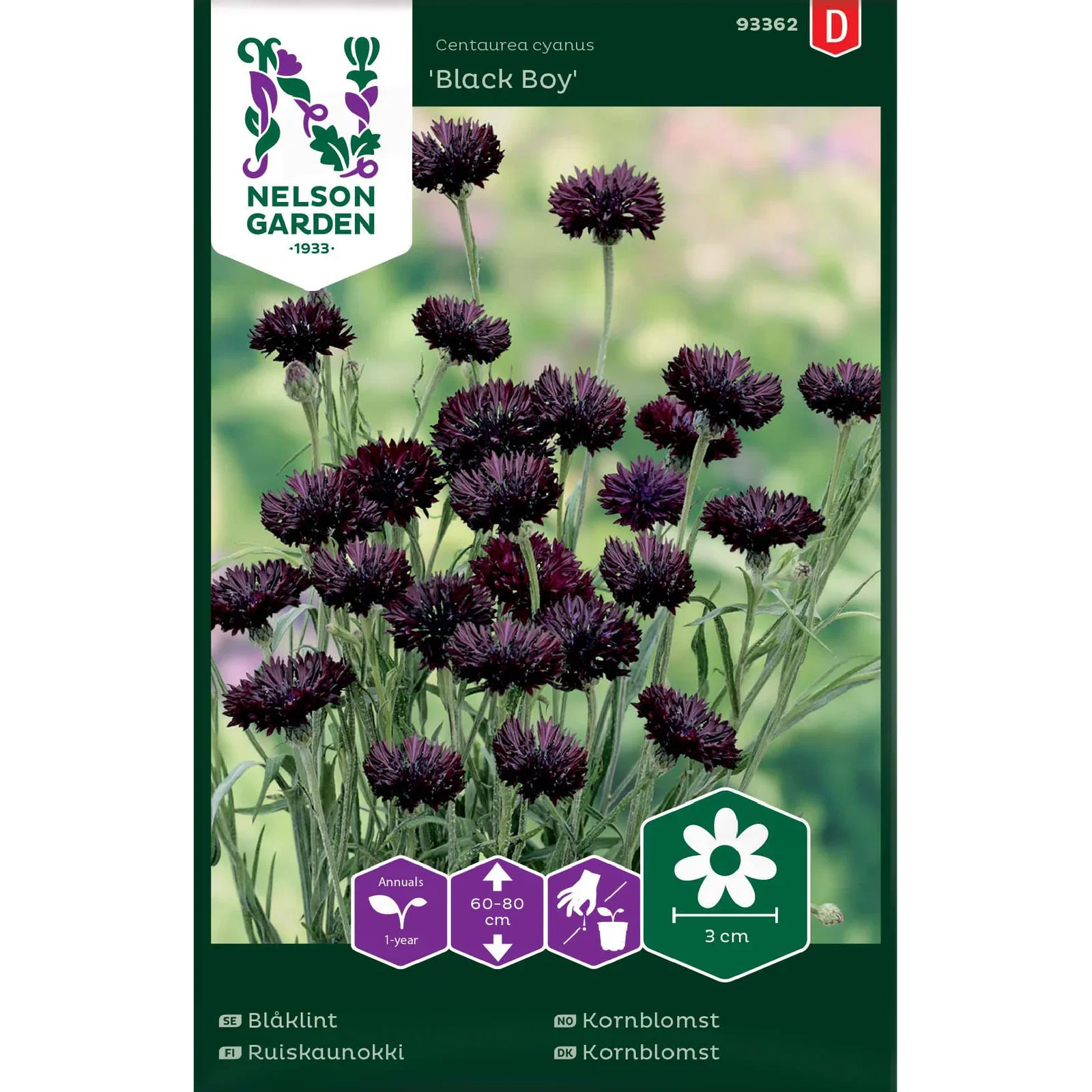 Blåklint 'Black Boy'