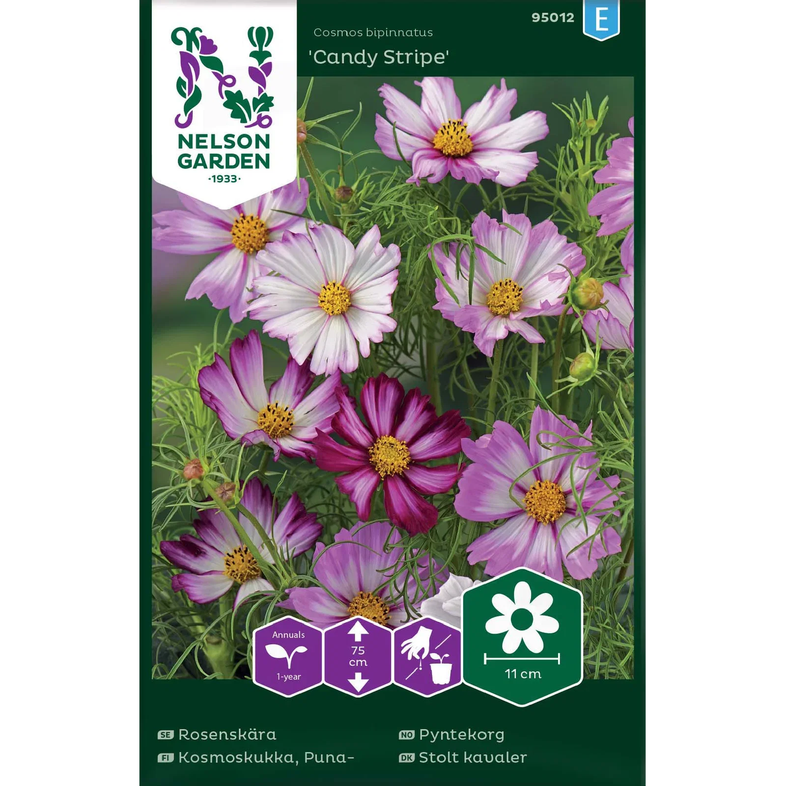 Rosenskära 'Candy Stripe'