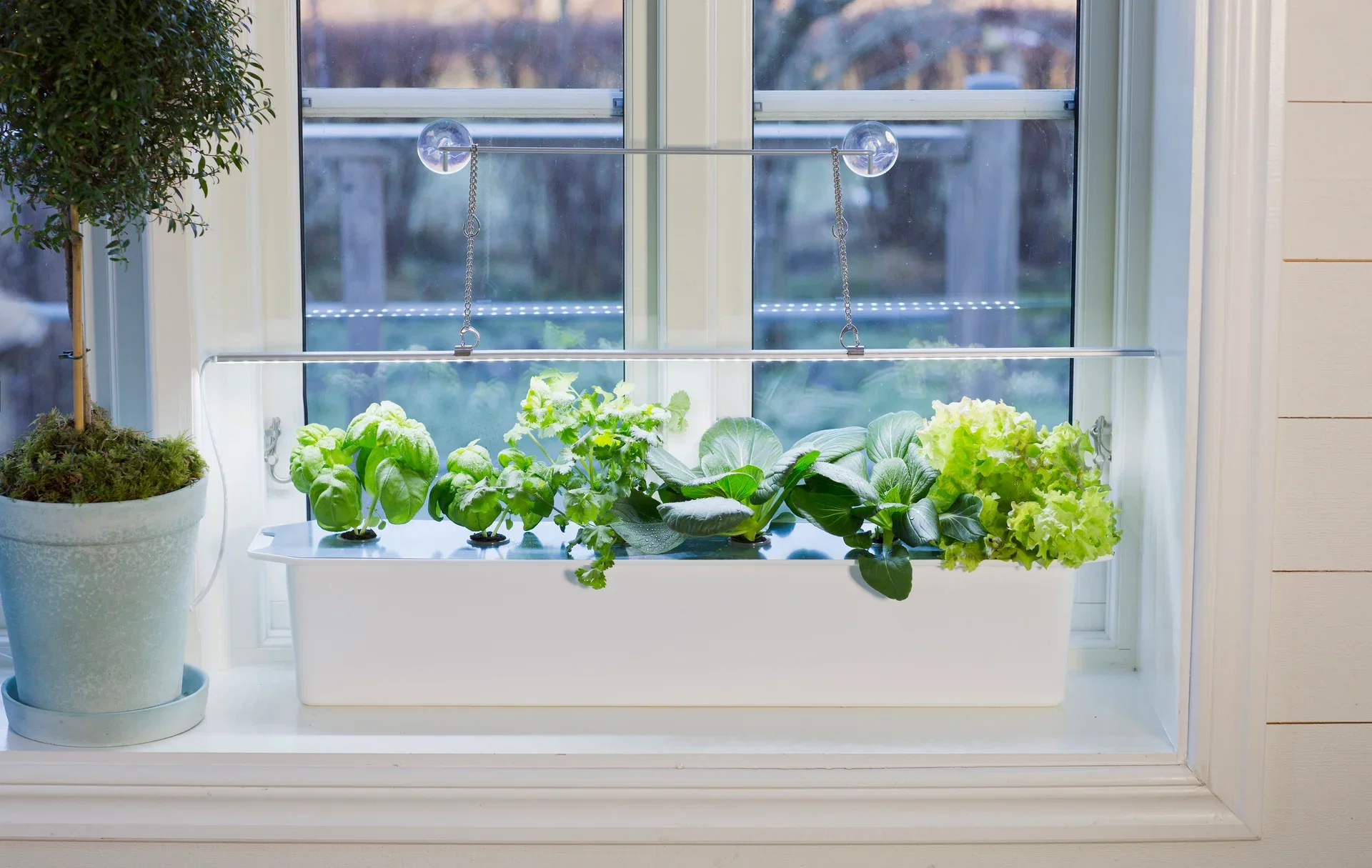 Växtbelysn. LED No.1 85cm 23W m.adapter