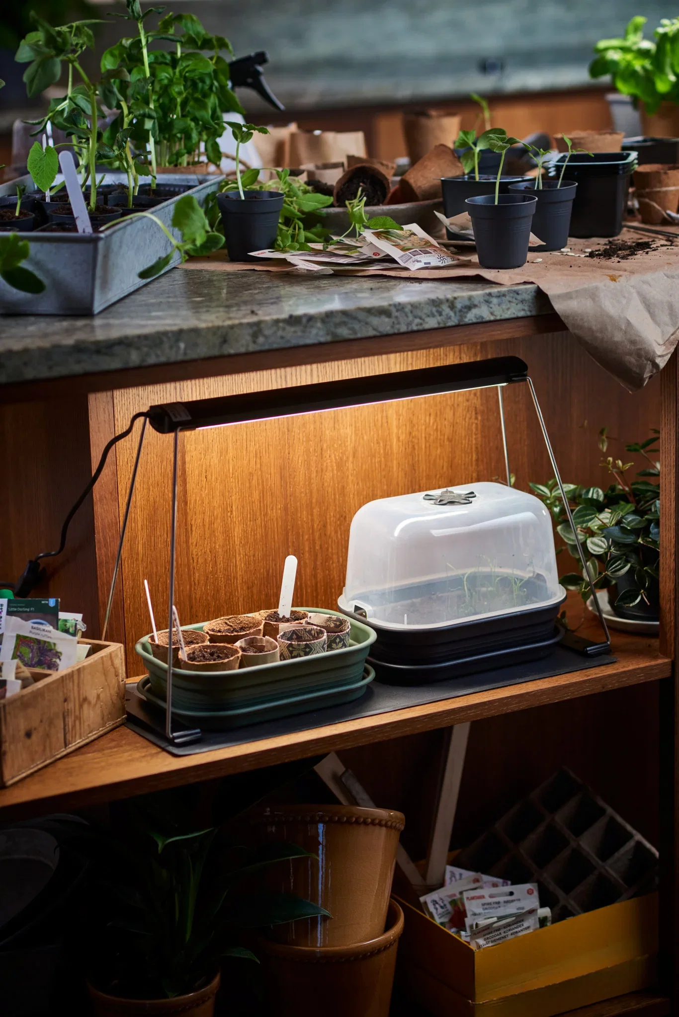 Växtbelysning Crescendo