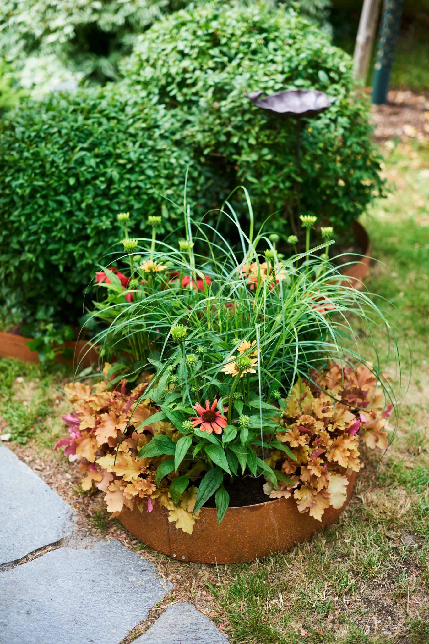Odlingskrage i obehandlat järn