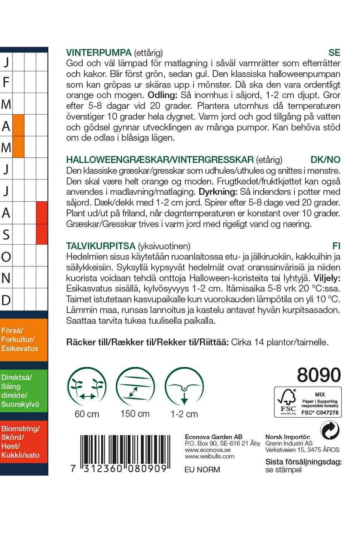 Pumpa 'Connecticut Field'