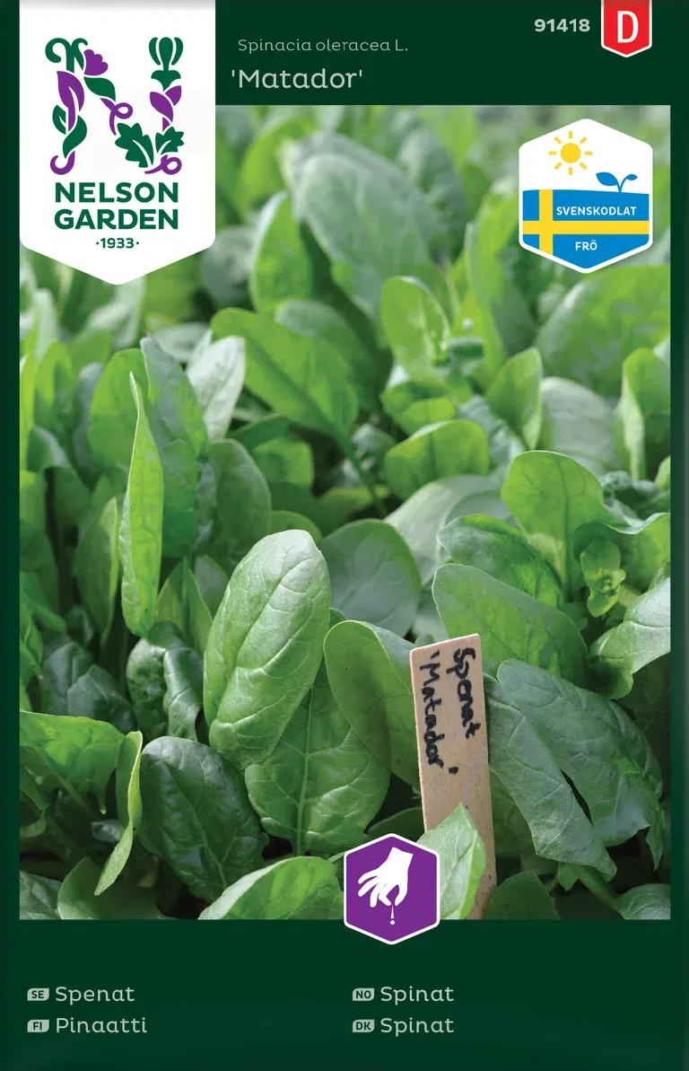 Spenat 'Matador '