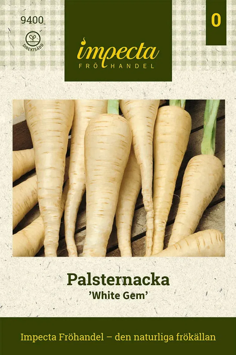 Palsternacka 'White Gem'