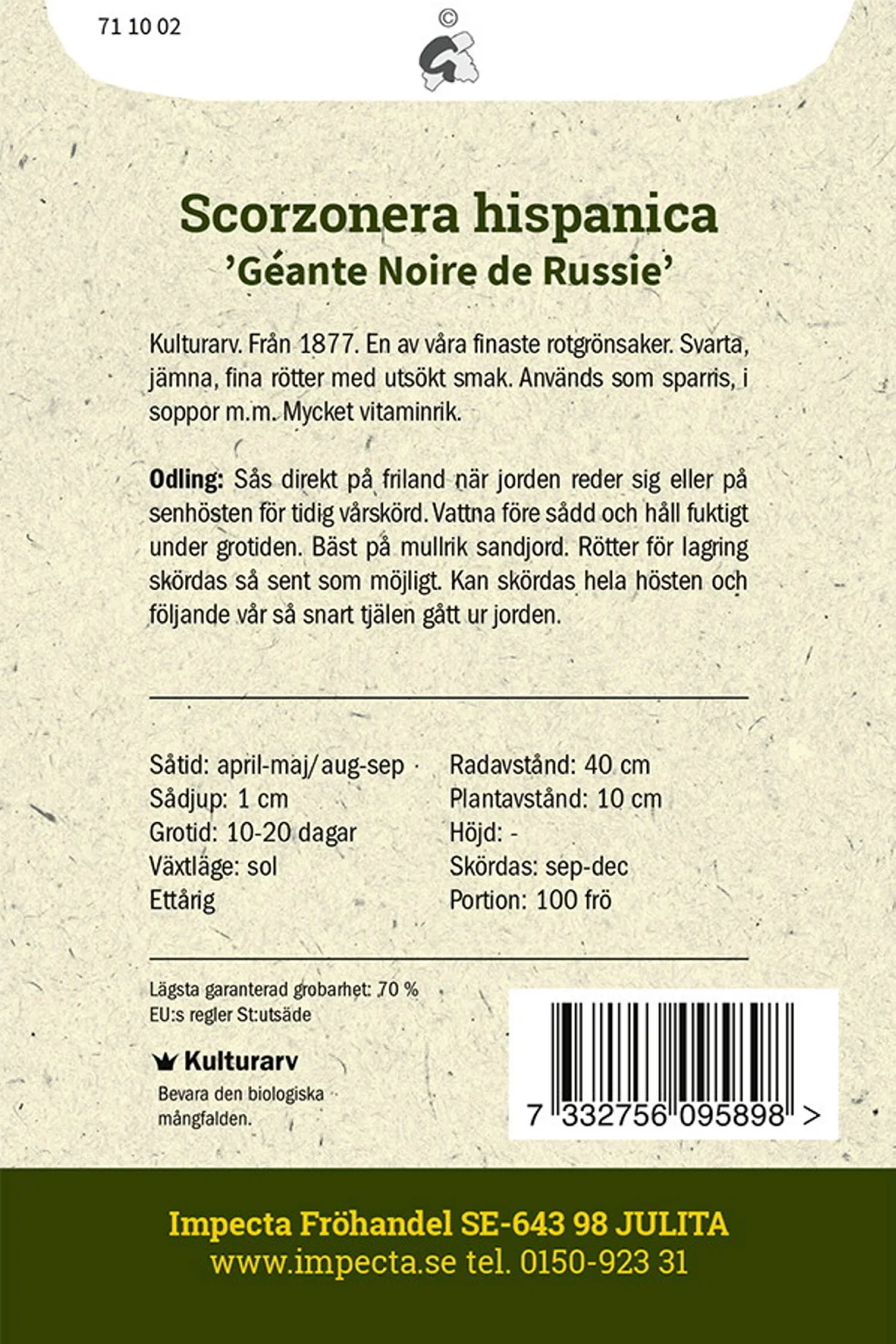 Svartrot 'Géante Noire de Russie'