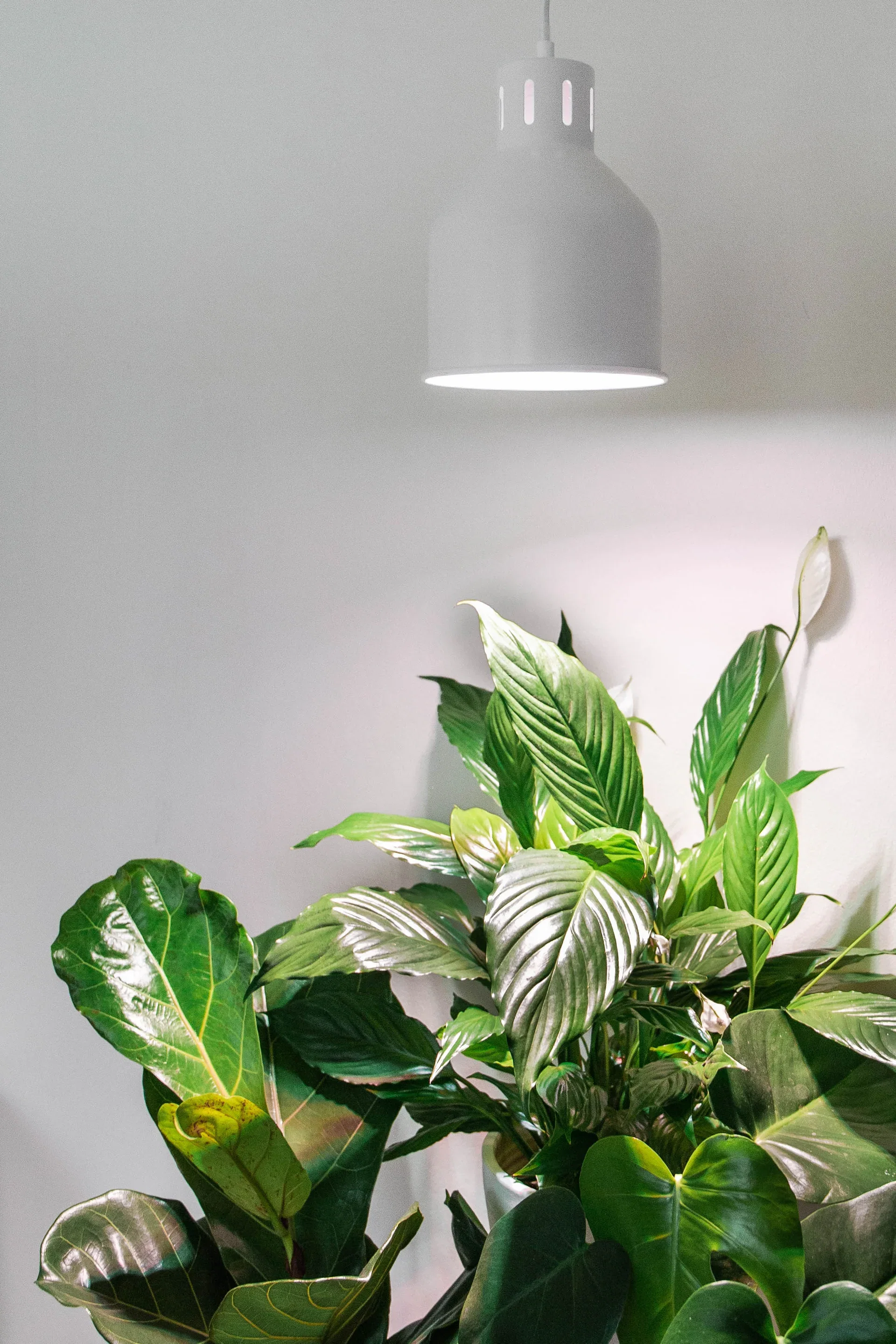 Växtbelysning hängarmatur Saga